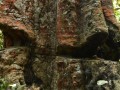 Tn dsc 4855